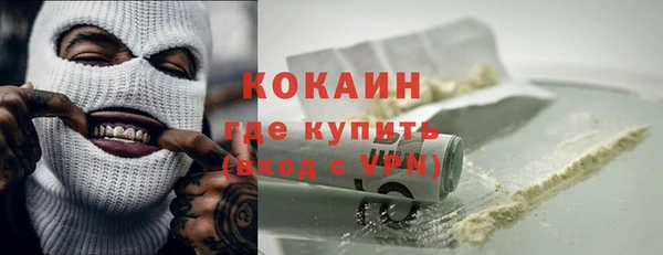 индика Алексеевка