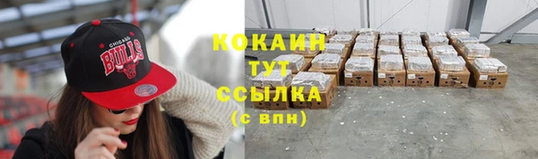 spice Алзамай