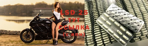 spice Алзамай