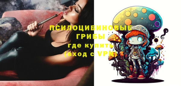 индика Алексеевка