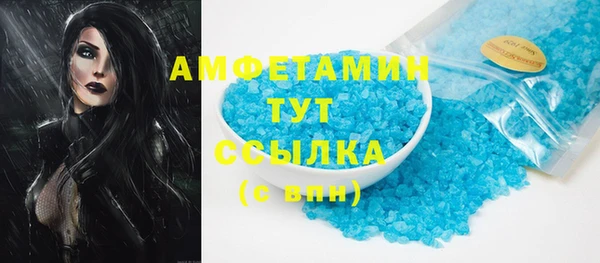 индика Алексеевка