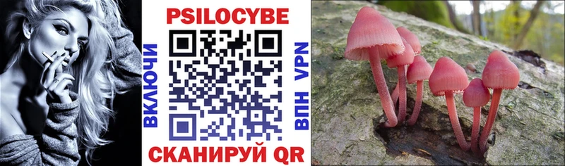 Галлюциногенные грибы Psilocybe Урюпинск